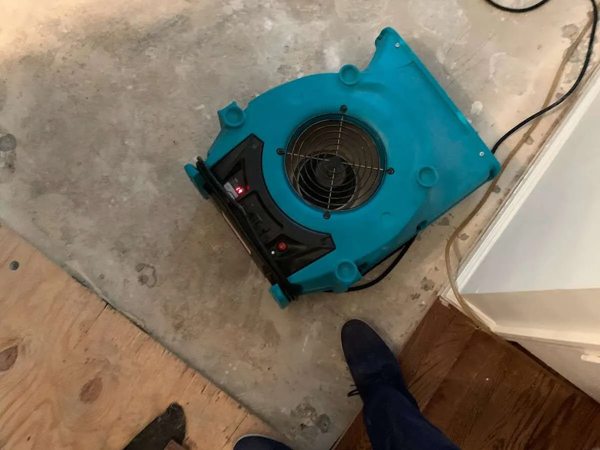 Air mover drying subfloor during Leak Detection & Repair in Denville